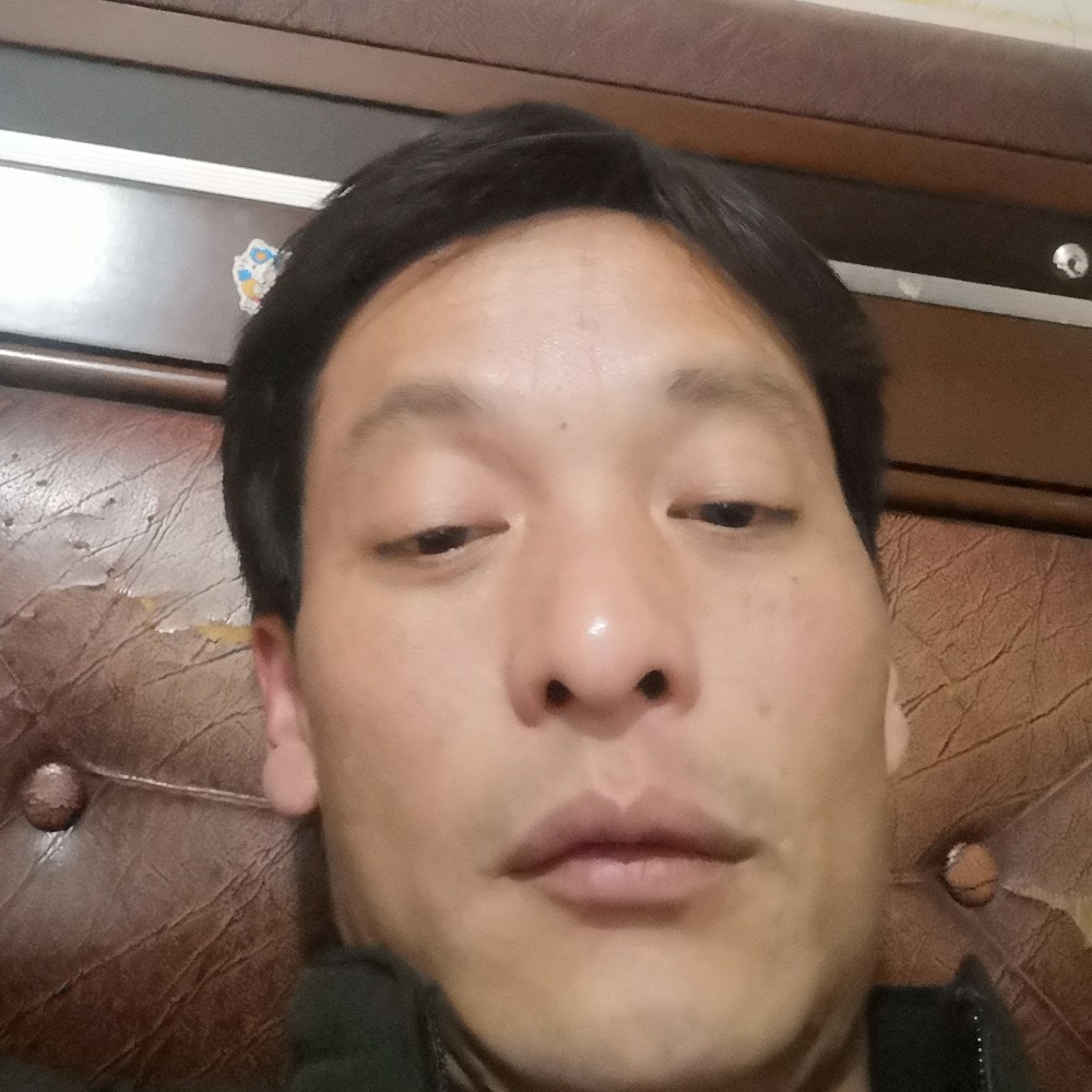 乐观蜜蜂的照片