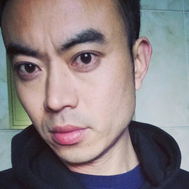 大雁孤飞的照片