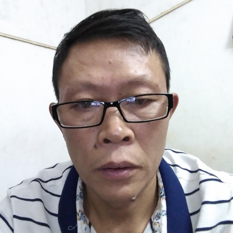 文艺鸭子的照片
