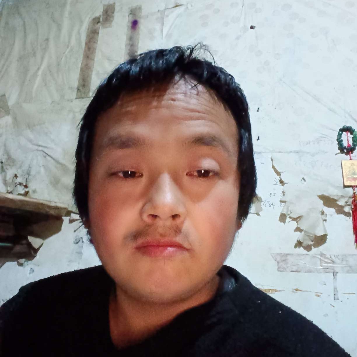 会员551289669的照片