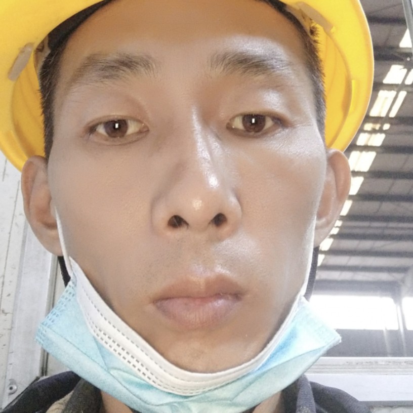 殷勤停止小懒猪的照片