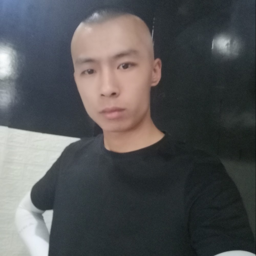 池中游鱼的照片