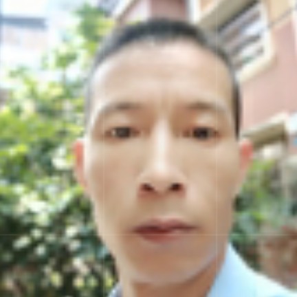 康乃馨相许感性的照片