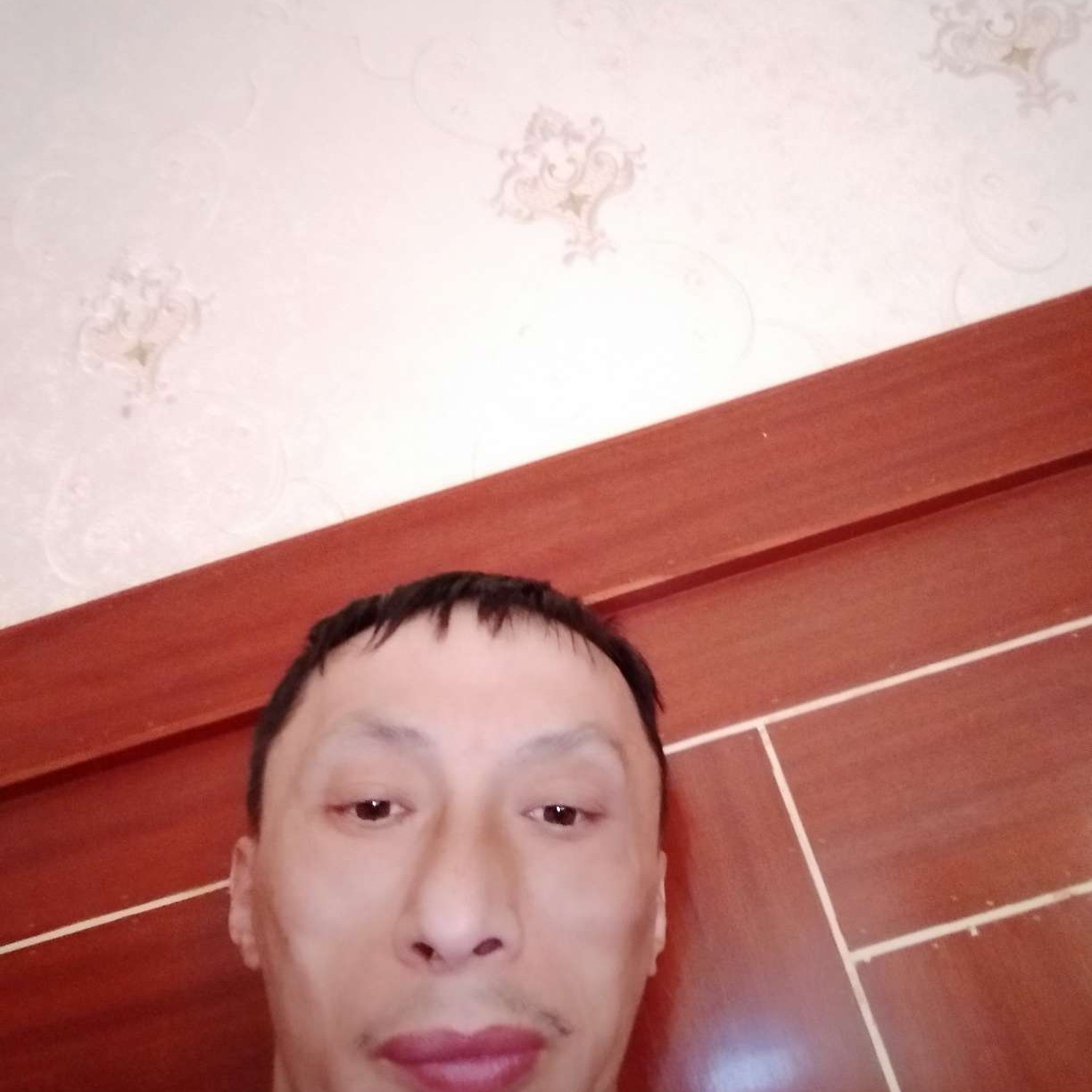 孤心说矮小的照片