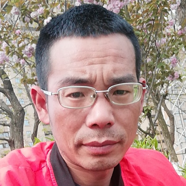 翅膀贤惠的照片