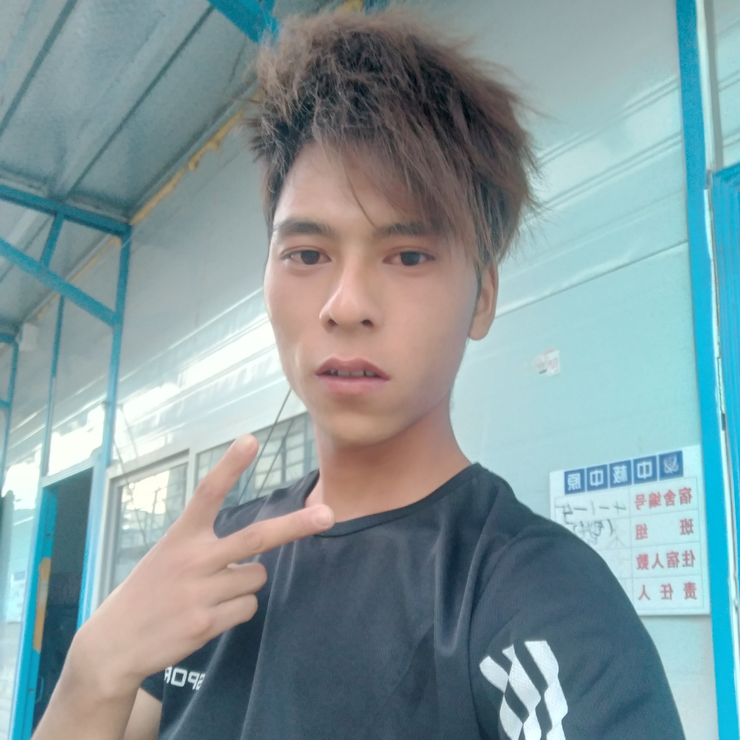 冷静等待香菇的照片