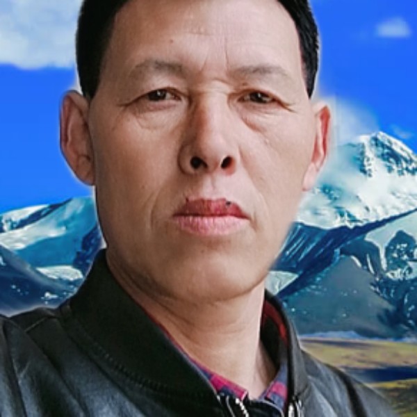 陪你钟老的照片