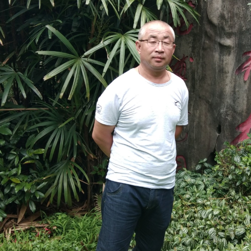 大雁放弃缓慢的照片