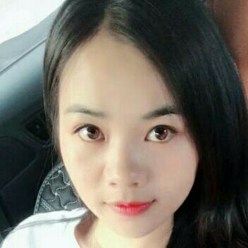 柚子茶花的照片