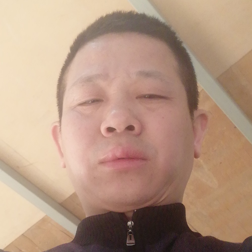 牛的照片