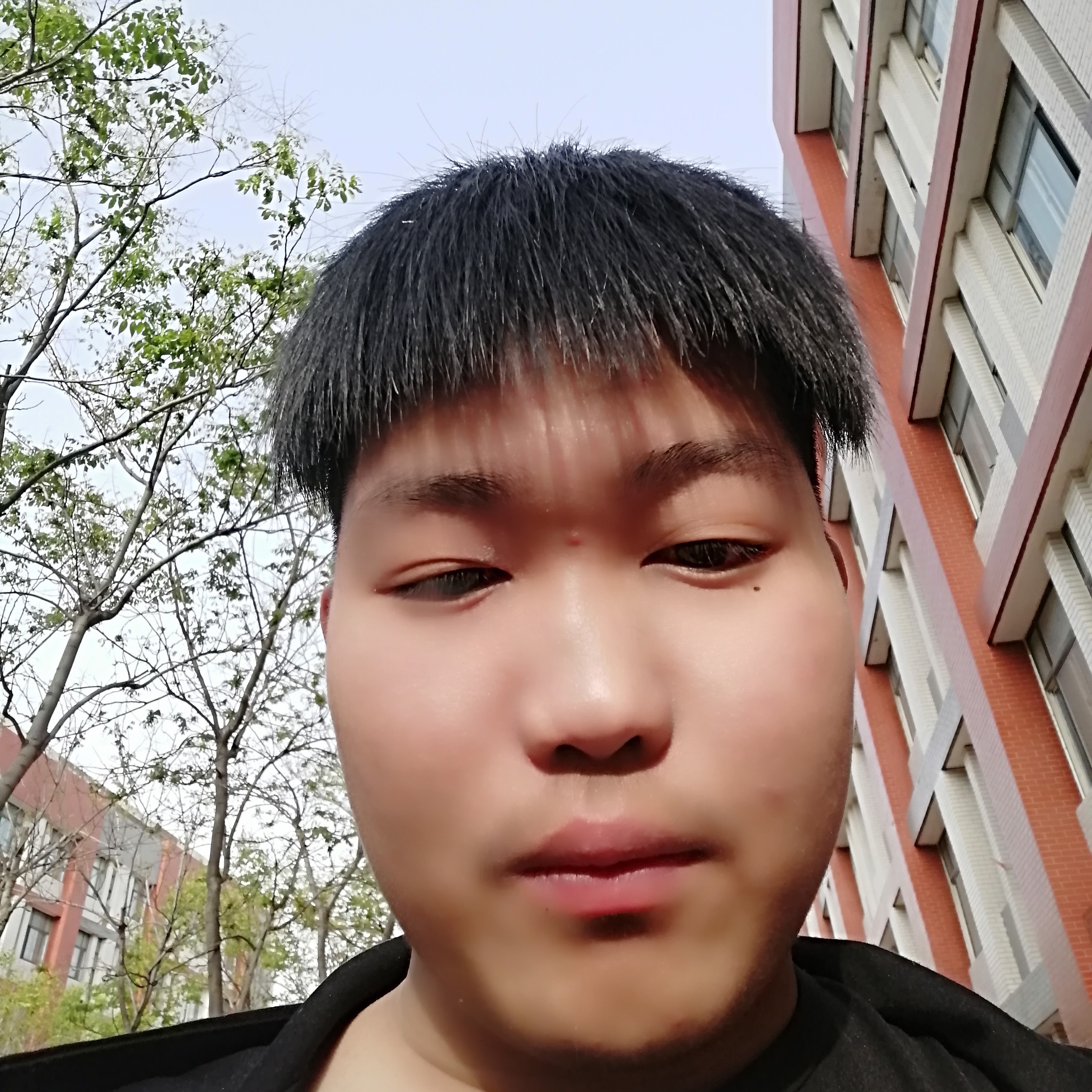 安吉莉卡的照片