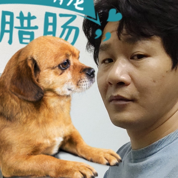 虚心拿老虎的照片