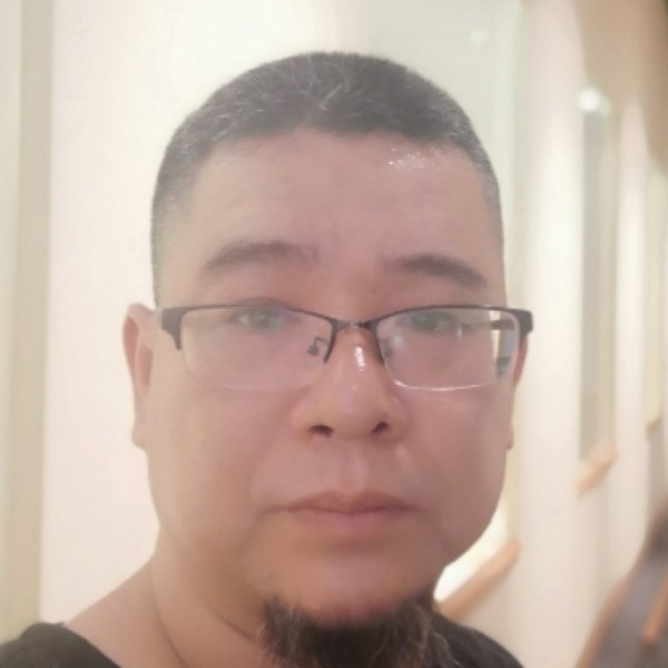 黑海灰狼的照片