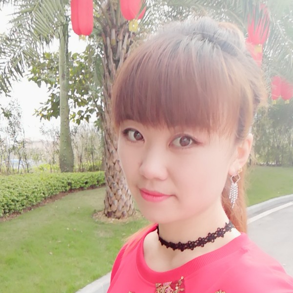 彩色玫瑰的照片
