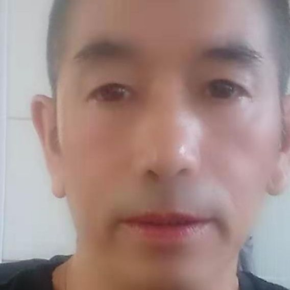 优秀漫步鼠标的照片