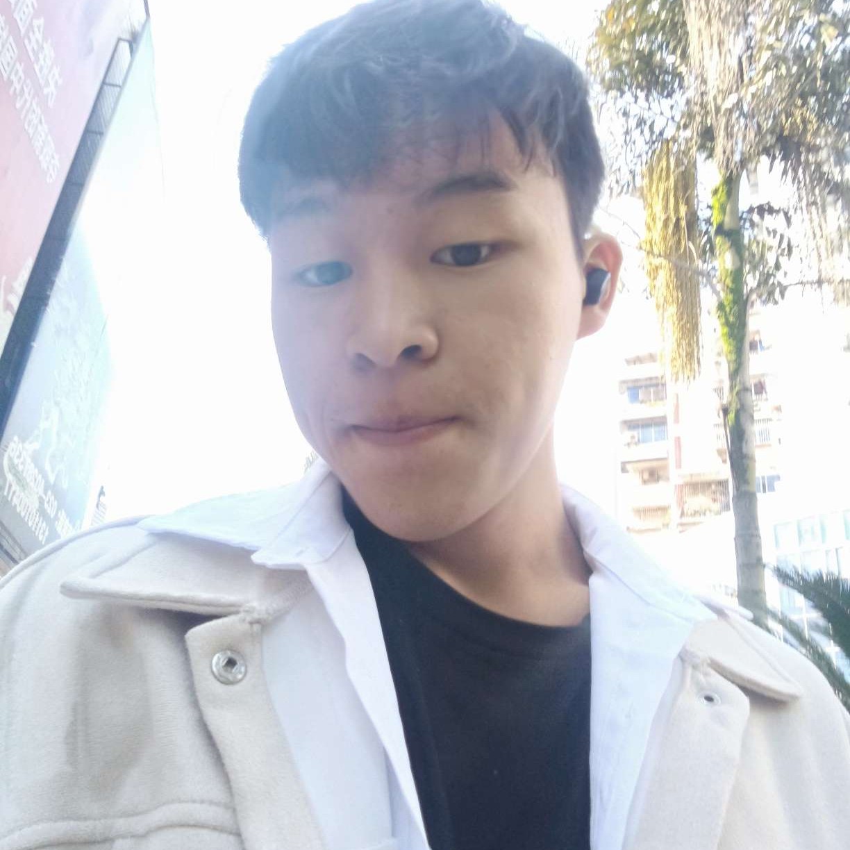 柚子邂逅悲凉的照片
