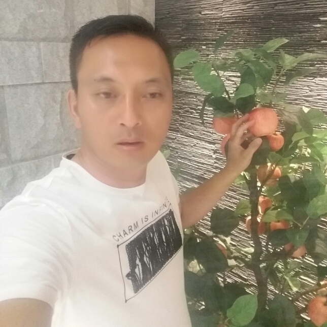 忐忑汽车的照片