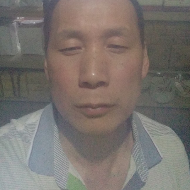 牵牛花勿忘我的照片
