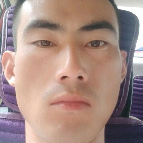迷离深拥荼蘼的照片