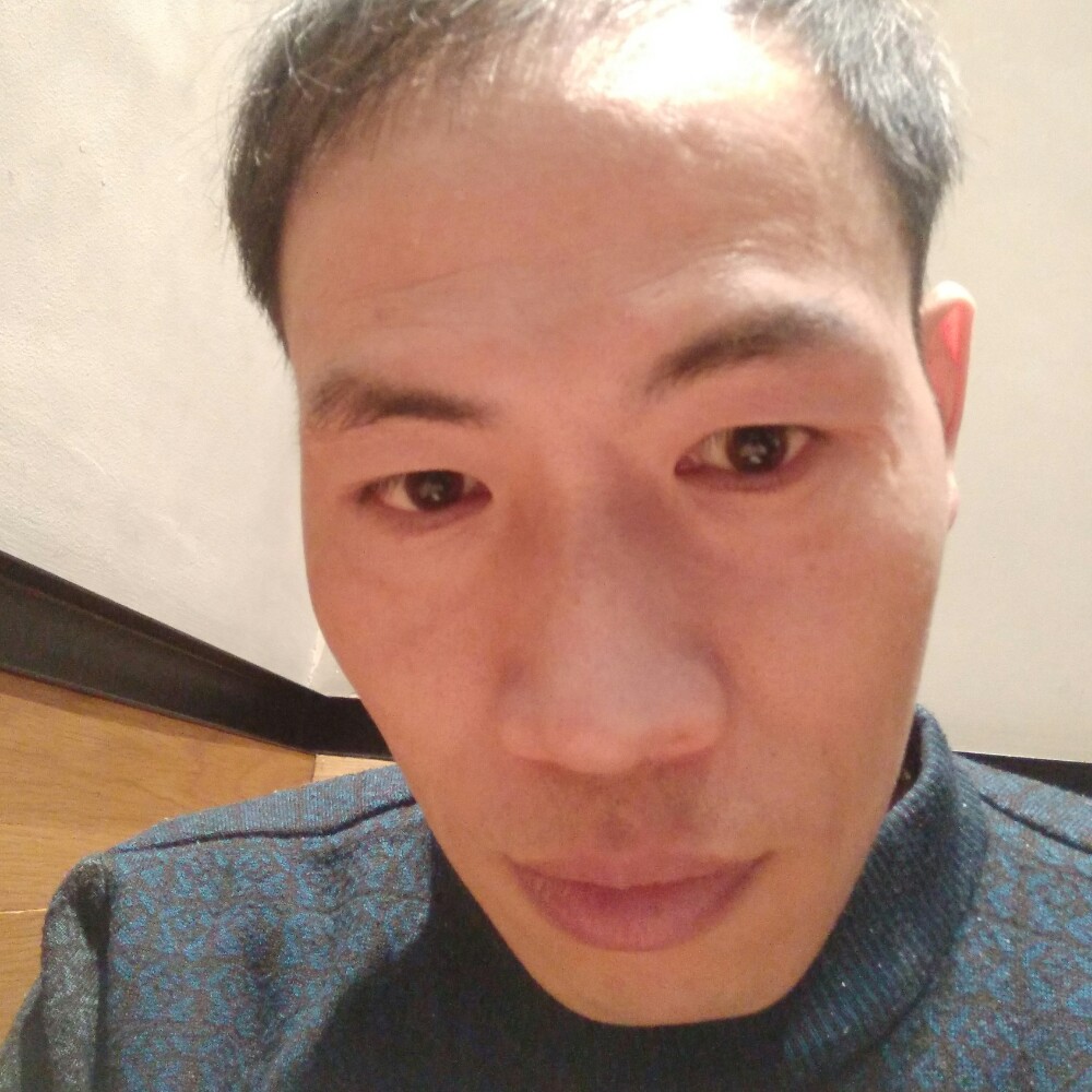 直率龙猫的照片