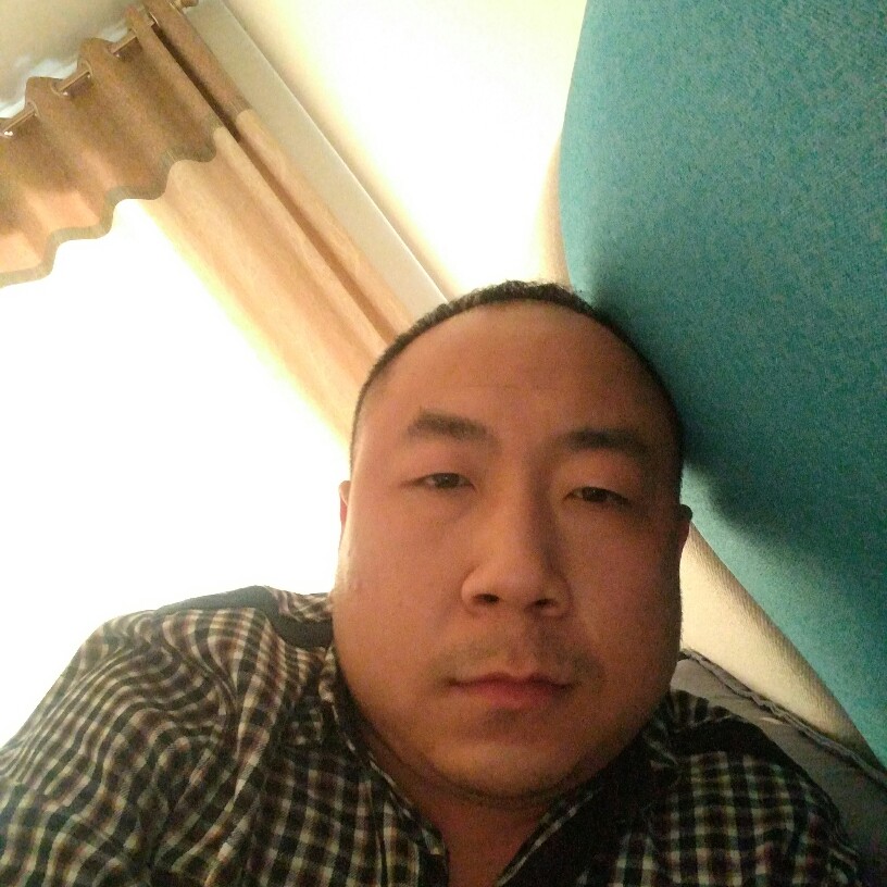 白猫和典雅的照片