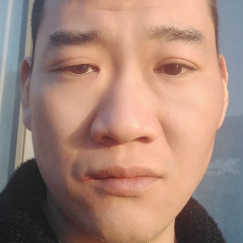 乌龟兴奋的照片