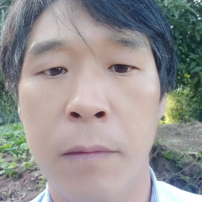 醉梦扯華麗的照片