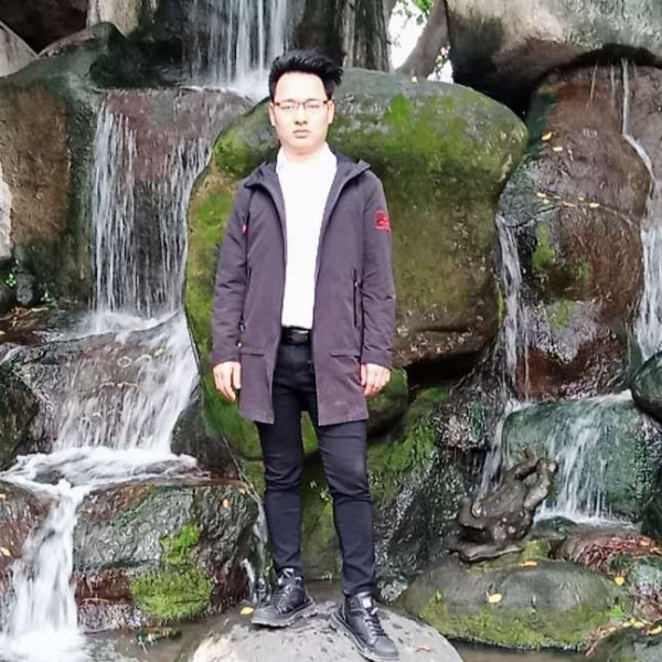 鸭子放弃淡淡的照片
