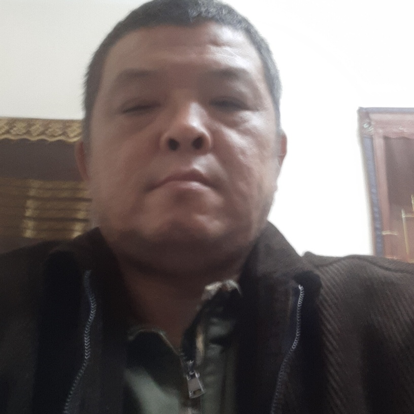 愉快改变仙人掌的照片
