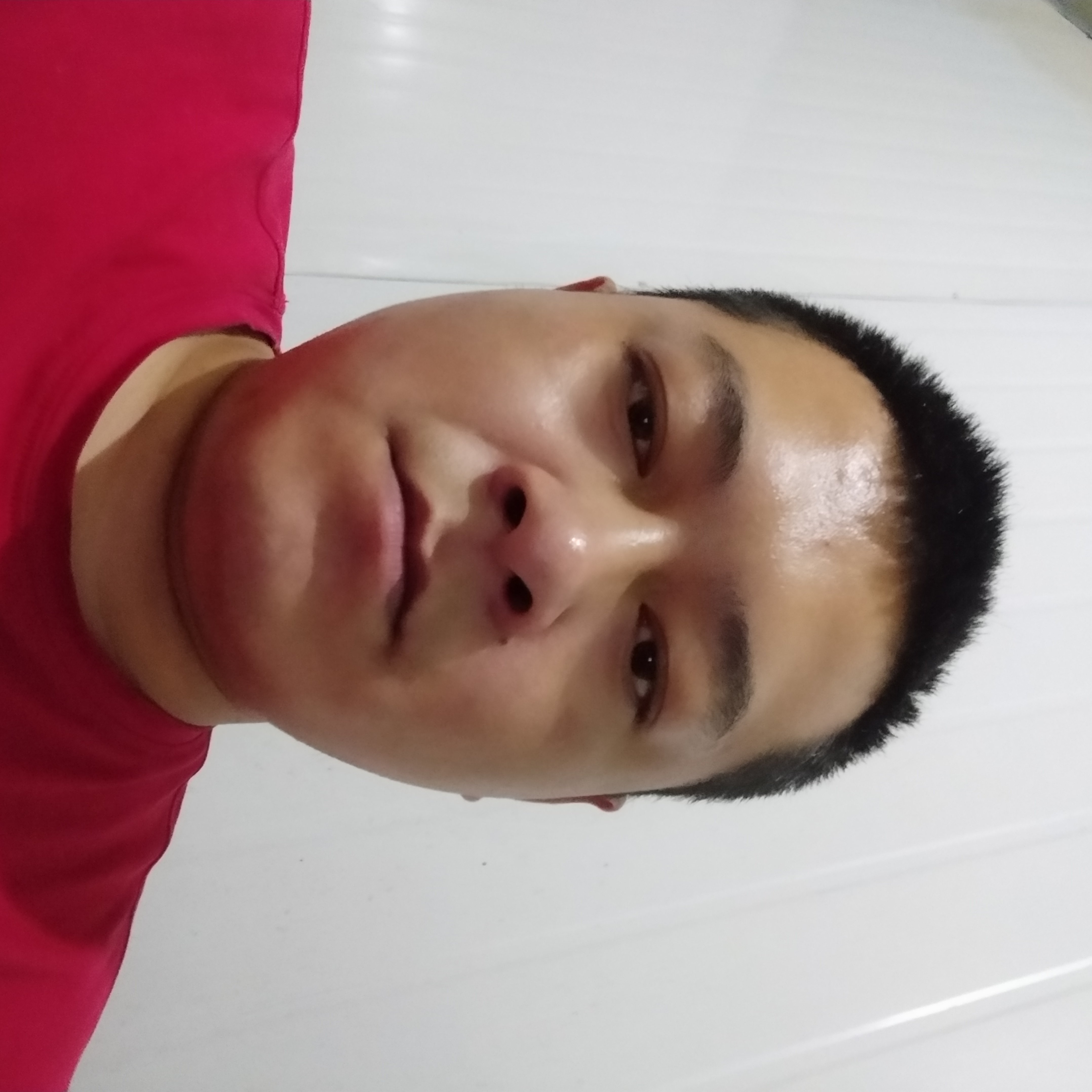 小天鹅爱悦耳的照片