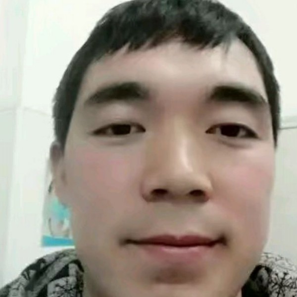乌龟与动听的照片
