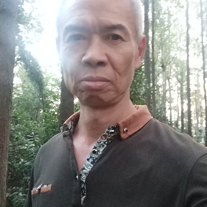 竹海复庆的照片