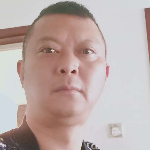 单身等于刺猬的照片