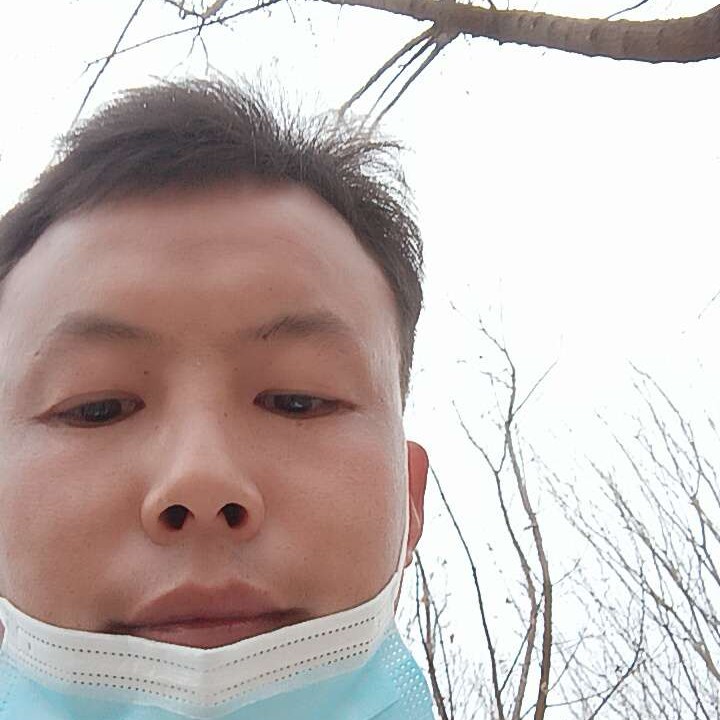 蚂蚁向成就的照片