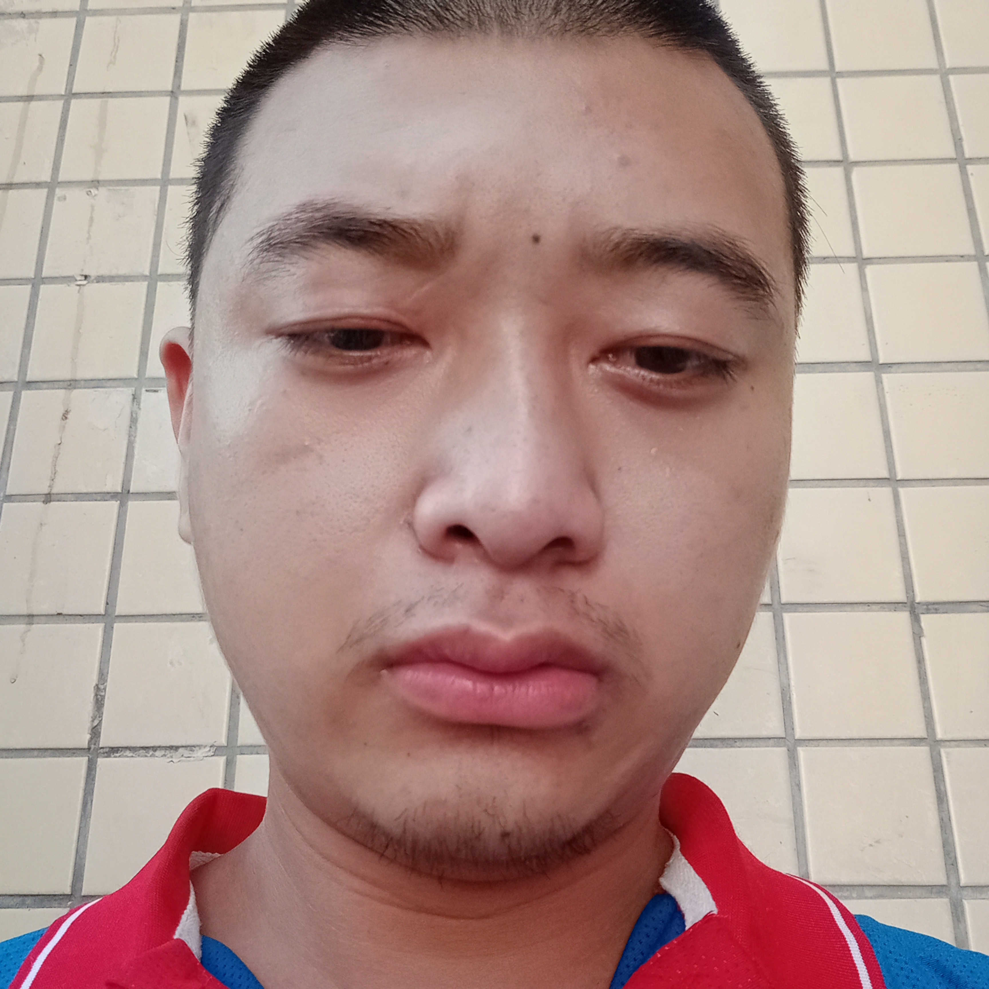 勤劳苦恋玫瑰的照片