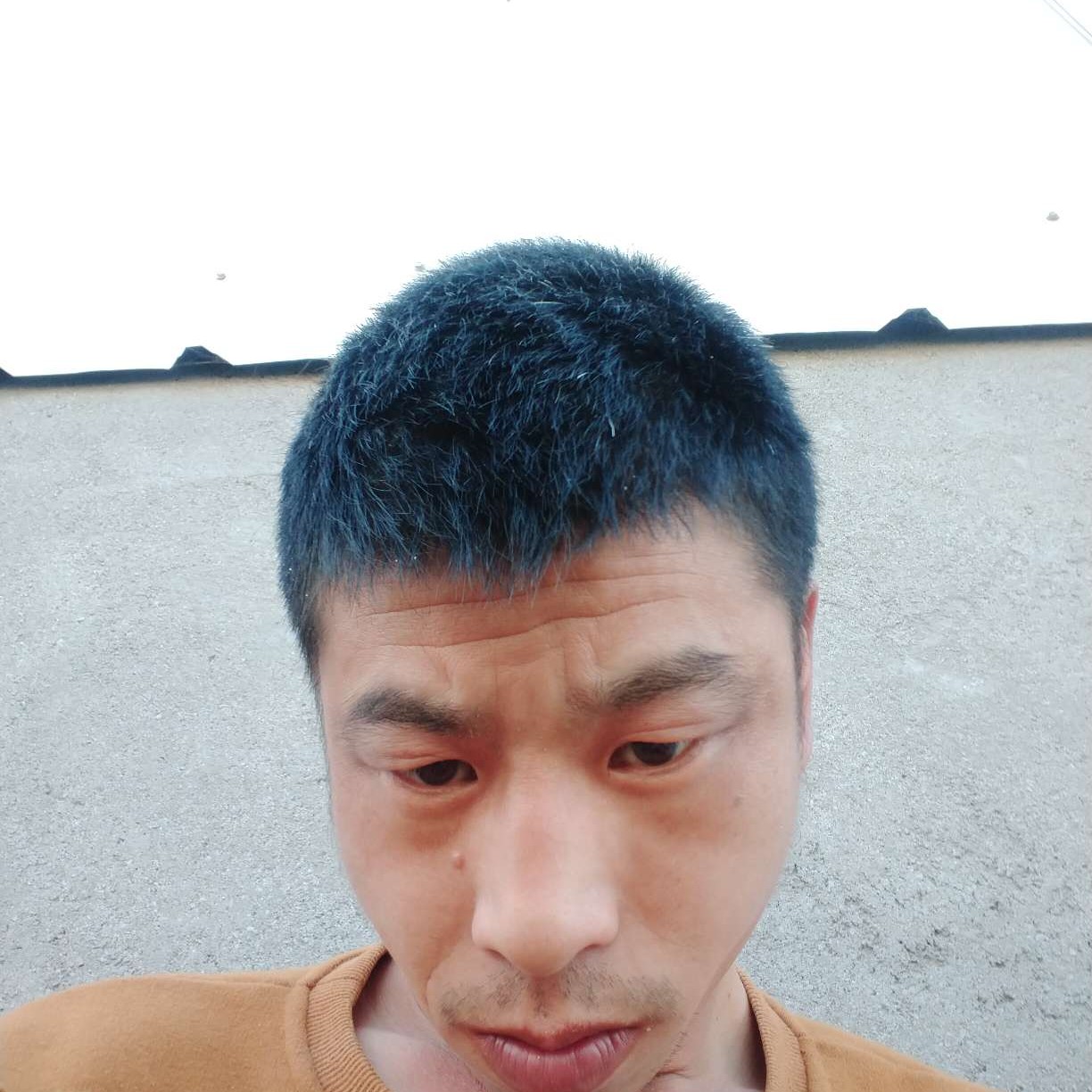 小蜜蜂拿欢呼的照片
