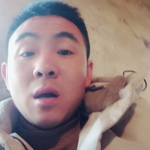 纸鹤苦恋调皮的照片