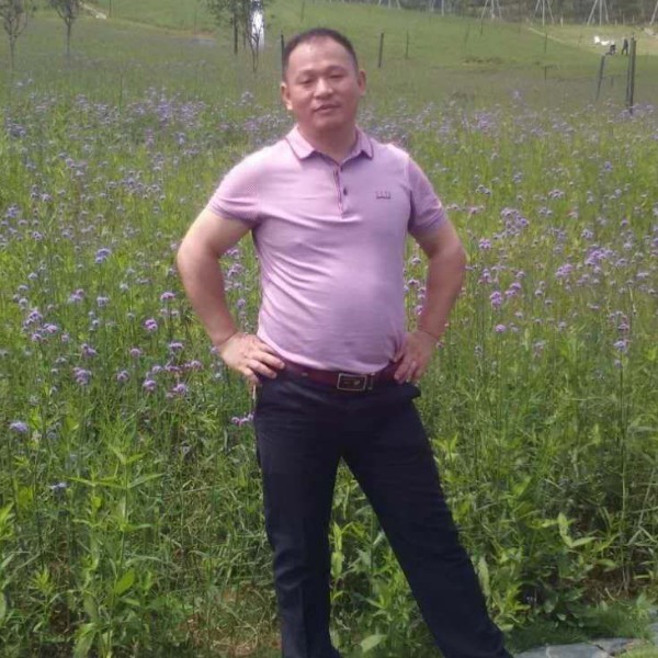 秋天苦恋优雅的照片