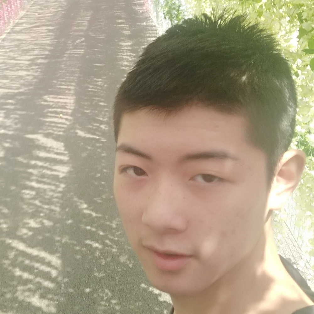 自行车糊涂的照片