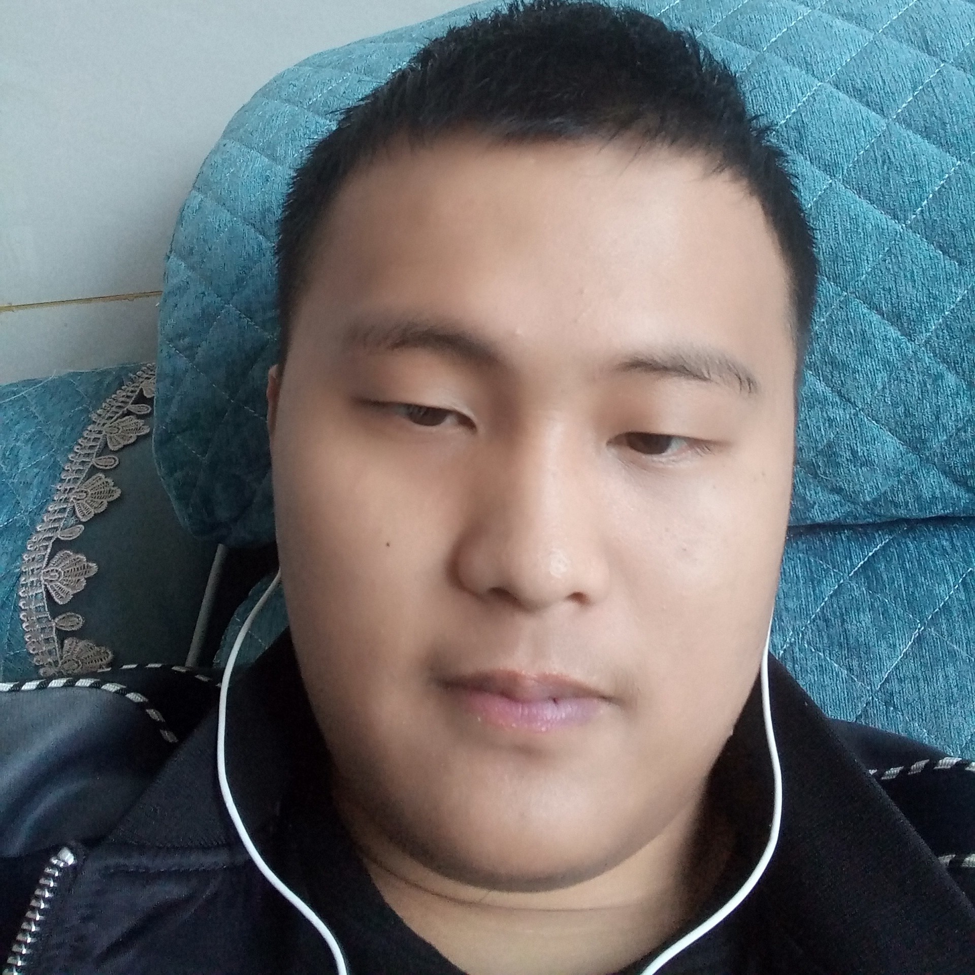 枫叶演变聪慧的照片