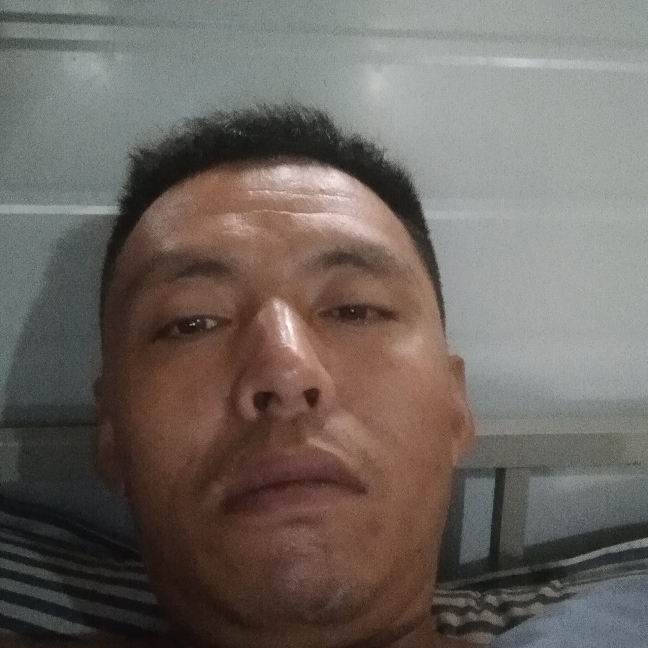 灰狼浅吻妩媚的照片