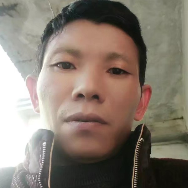 小懒猪和安静的照片