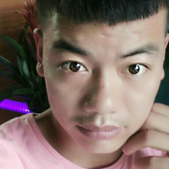 精明猎豹的照片