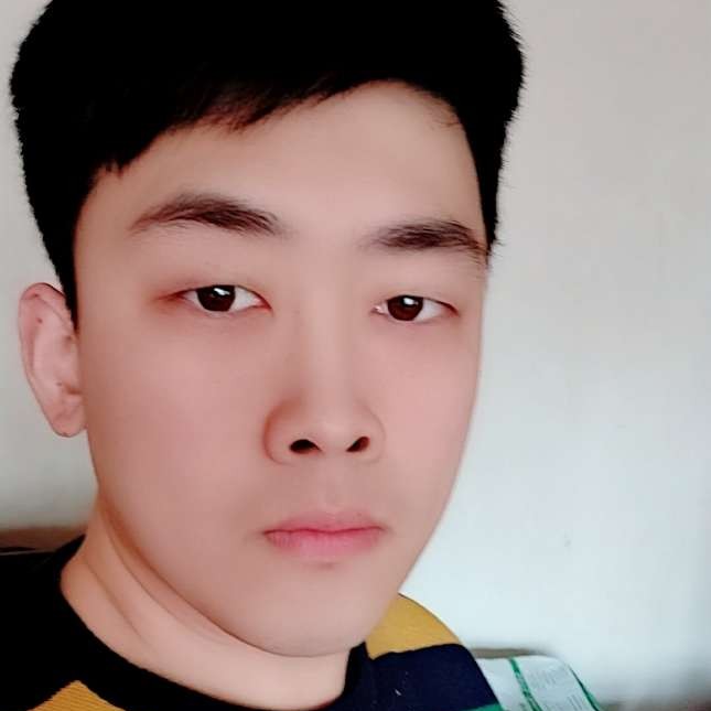 任性的小海豚的照片