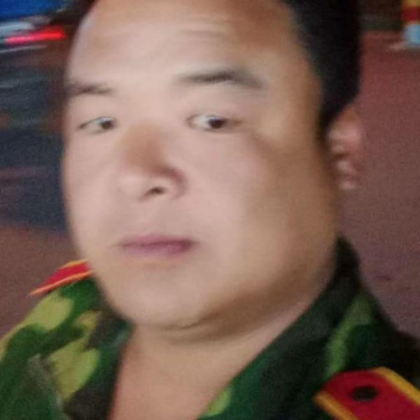 光亮等于小海豚的照片