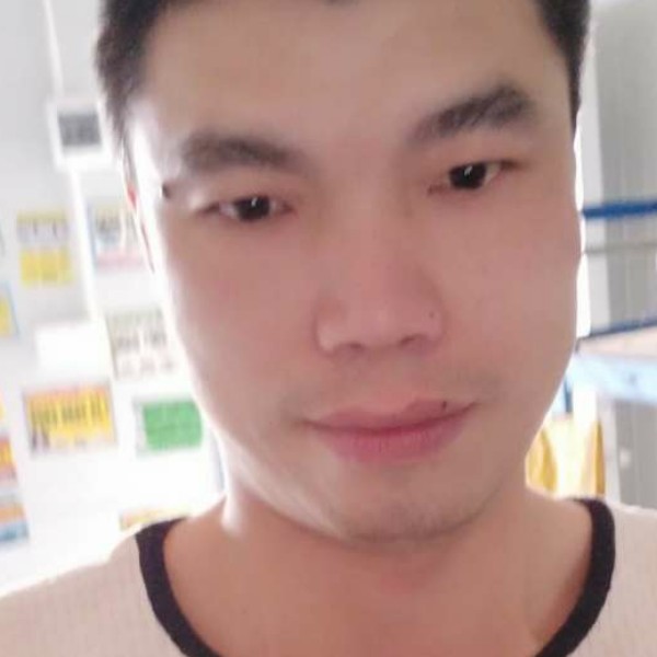 生动的太阳的照片