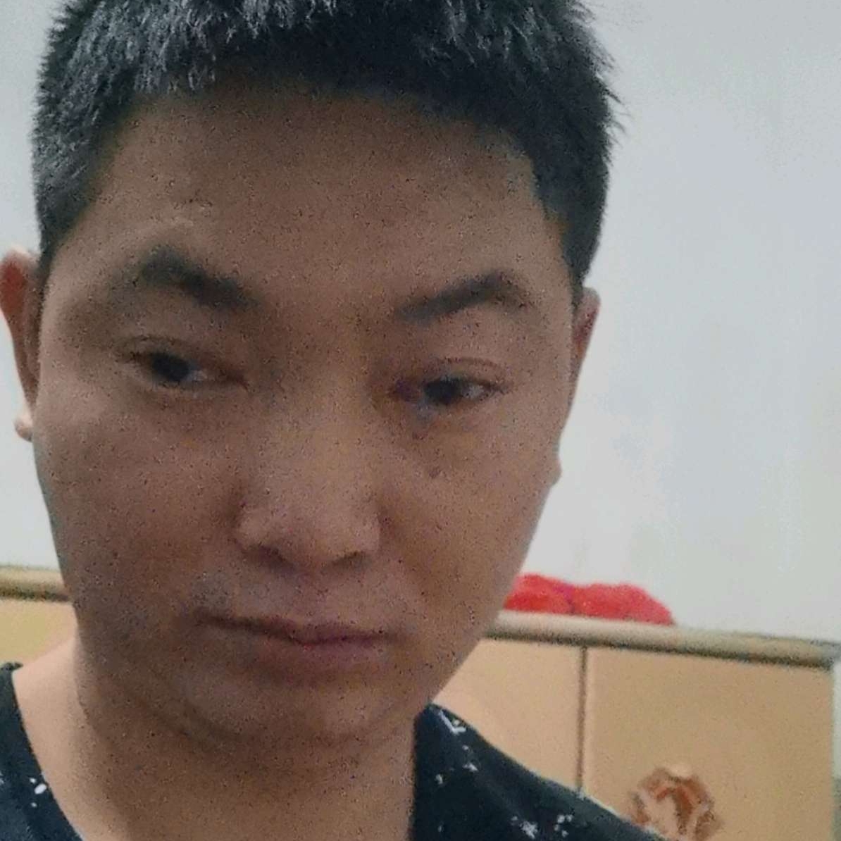 短发的小黄蜂的照片