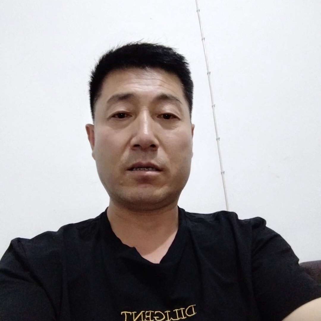 老实凝眸小海豚的照片