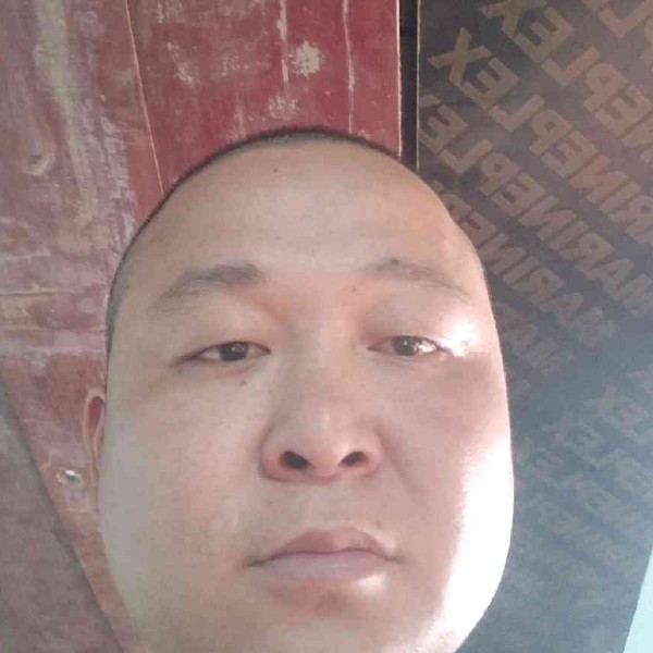 随性而为88的照片