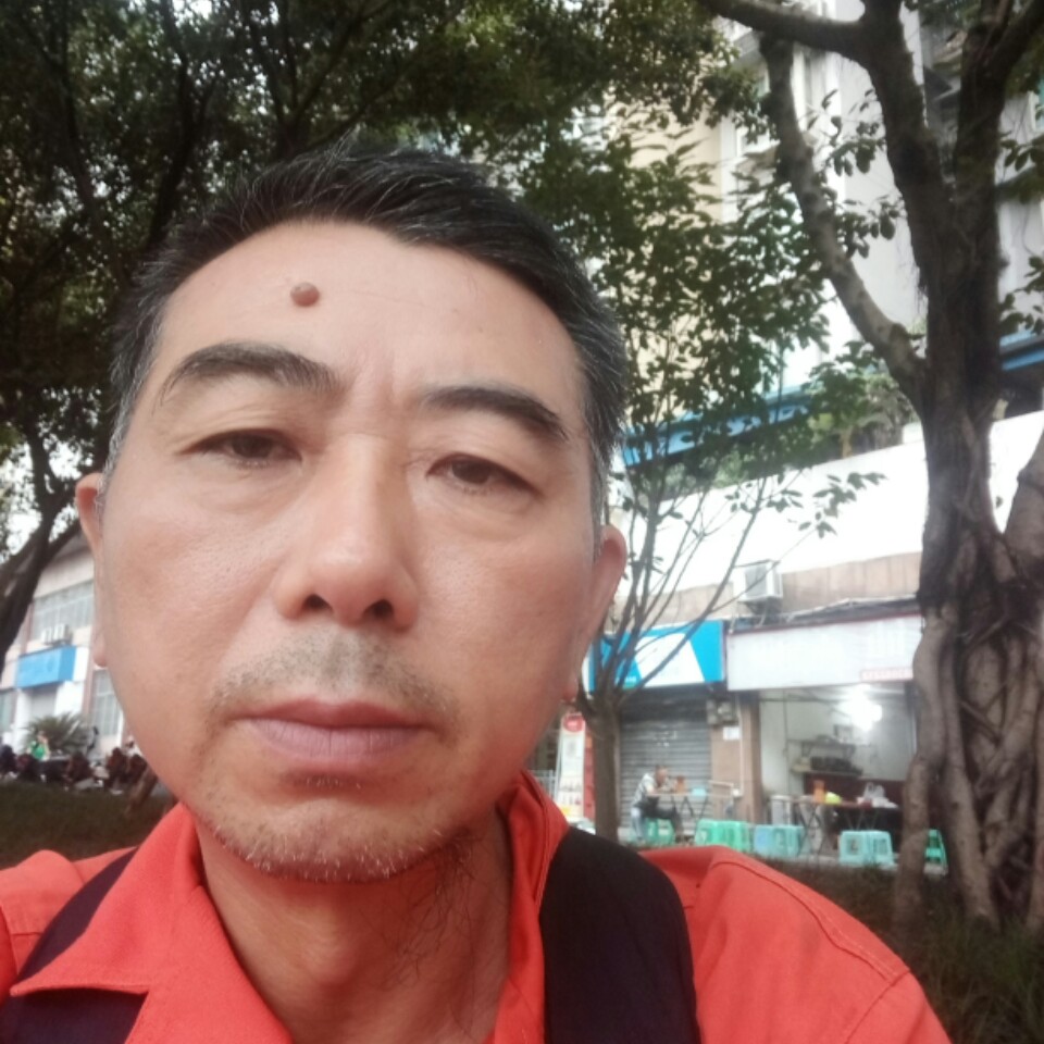 夕曰阳光的照片